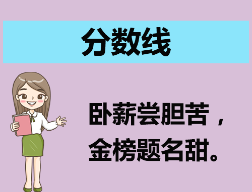 河南财经政法大学各省录取分数线2024